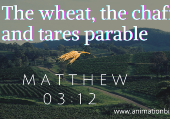 wheat chaff tares parable