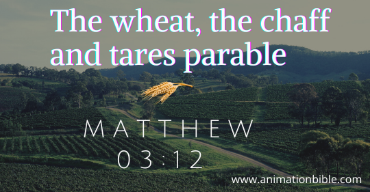 wheat chaff tares parable
