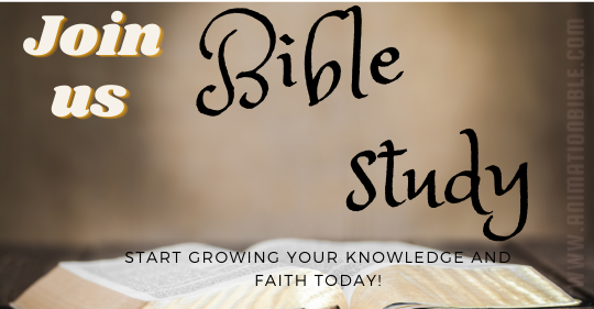 Bible-Study